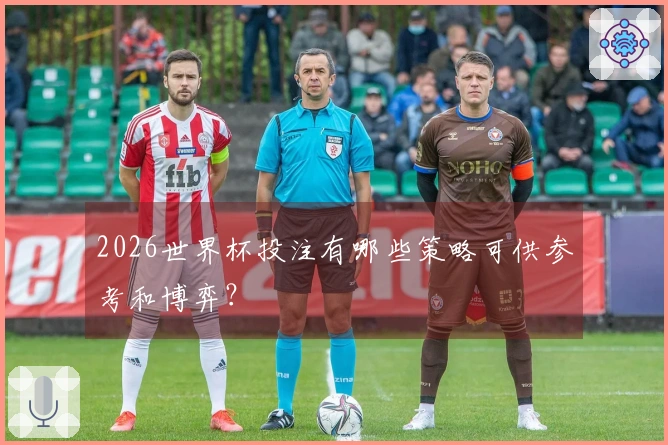 2026世界杯投注有哪些策略可供参考和博弈？