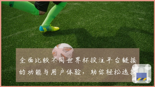 全面比较不同世界杯投注平台链接的功能与用户体验，助你轻松选择最适合的平台