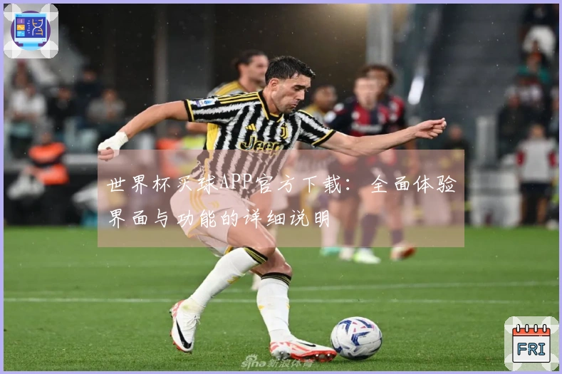 世界杯买球APP官方下载：全面体验界面与功能的详细说明
