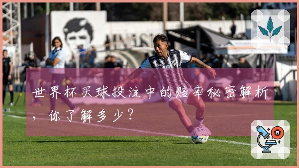 世界杯买球投注中的赔率秘密解析，你了解多少？