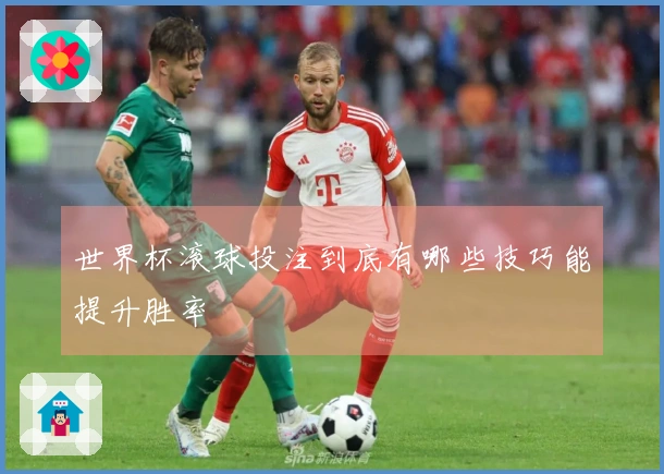世界杯滚球投注到底有哪些技巧能提升胜率