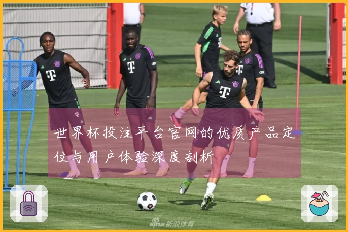 世界杯投注平台官网的优质产品定位与用户体验深度剖析