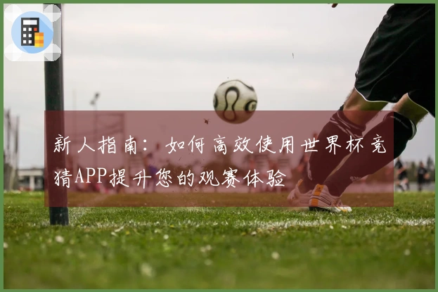 新人指南：如何高效使用世界杯竞猜APP提升您的观赛体验