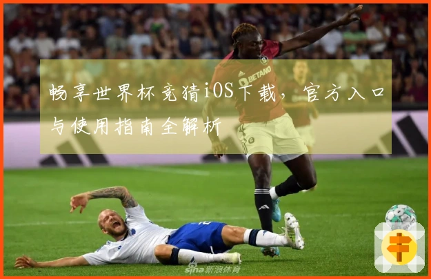 畅享世界杯竞猜iOS下载，官方入口与使用指南全解析