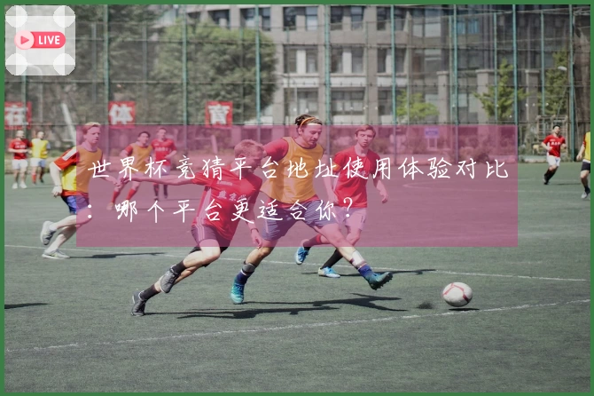 世界杯竞猜平台地址使用体验对比:哪个平台更适合你?