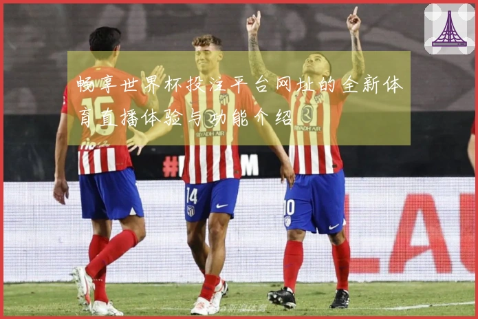 畅享世界杯投注平台网址的全新体育直播体验与功能介绍