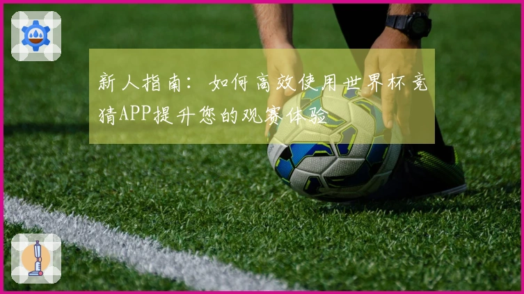 新人指南：如何高效使用世界杯竞猜APP提升您的观赛体验