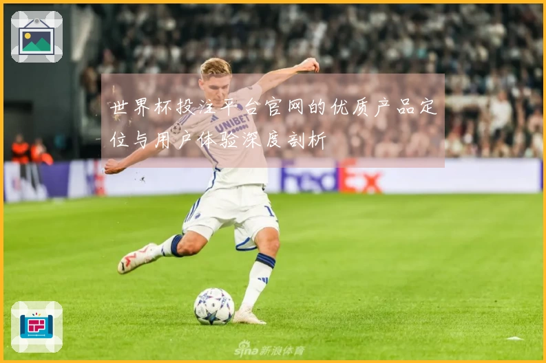 世界杯投注平台官网的优质产品定位与用户体验深度剖析